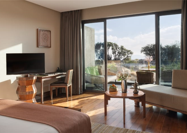 Premier Canyon View Room