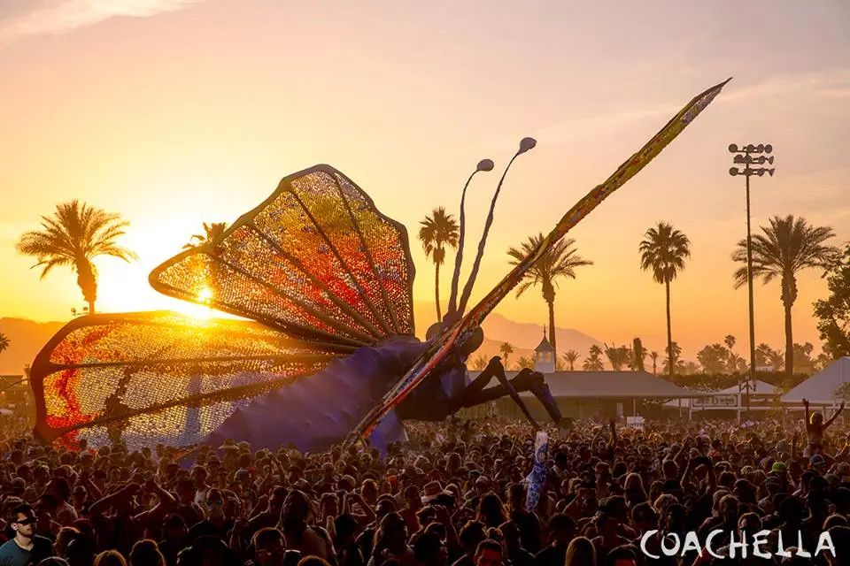 Coachella Music Festival